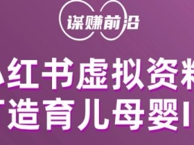 月入过万的小红书虚拟课程项目，操作全流程分享