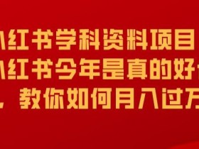 学科资料赛道如何长期运营，小红书蓝海项目玩法指南