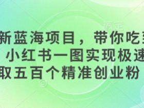 小红书矩阵引流全自动化玩法，如何轻松实现高效推广？