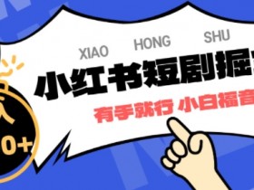 如何用小红书矩阵批量引流，实战案例日增精准客户300+
