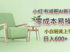 如何用小红书矩阵批量引流，实战案例日增精准客户300+