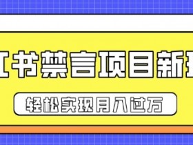 如何用小红书矩阵批量引流，实战案例日增精准客户300+