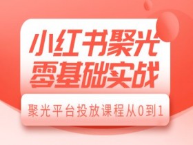 如何用小红书矩阵批量引流，实战案例日增精准客户300+