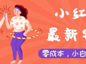 如何用小红书引流到微信，低门槛高收益的操作思路