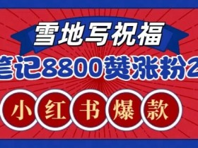 如何用小红书引流到微信，低门槛高收益的操作思路