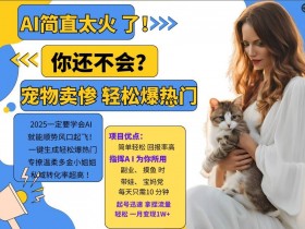 小红书旅游攻略类目靠谱吗，高利润虚拟项目全教程
