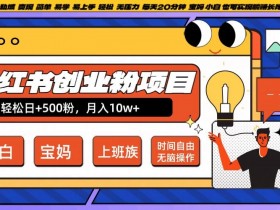 小红书旅游项目怎么引流，冷门虚拟项目快速起步的玩法