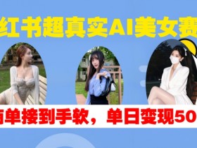 小红书旅游项目怎么引流，冷门虚拟项目快速起步的玩法