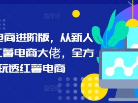 小红书旅游项目怎么引流，冷门虚拟项目快速起步的玩法