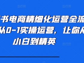 小红书旅游项目怎么引流，冷门虚拟项目快速起步的玩法