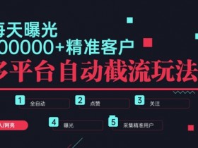 小红书旅游项目怎么引流，冷门虚拟项目快速起步的玩法
