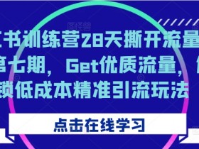 旅游类目怎么选，小红书旅游攻略项目拆解与实操技巧