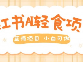 旅游定制项目高利润玩法，小红书私域赛道的操作方法