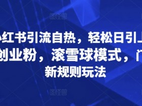 旅游定制项目高利润玩法，小红书私域赛道的操作方法