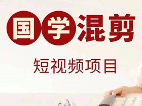 揭秘小红书高端旅游项目，月入10万的操作案例分享