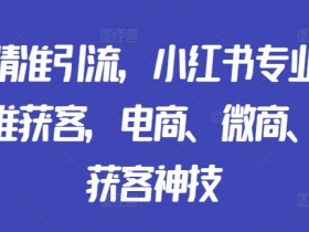 揭秘小红书高端旅游项目，月入10万的操作案例分享
