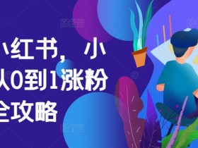 揭秘小红书高端旅游项目，月入10万的操作案例分享
