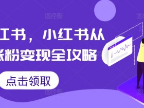 揭秘小红书高端旅游项目，月入10万的操作案例分享