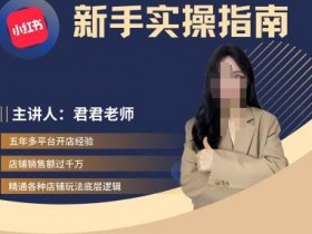 揭秘小红书高端旅游项目，月入10万的操作案例分享
