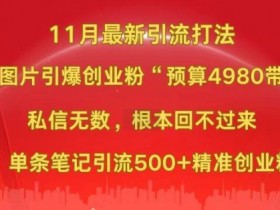 小红书旅游攻略类目靠谱吗，高利润虚拟项目全教程