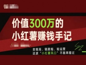 小红书掘金流量玩法，冷门虚拟项目的日入300+秘籍