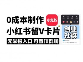 小红书壁纸掘金项目怎么玩，虚拟资料冷门赛道操作解析