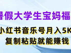 小红书壁纸掘金项目怎么玩，虚拟资料冷门赛道操作解析