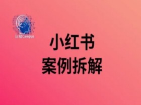 小红书虚拟掘金蓝海玩法，从基础到进阶的收益模式揭秘