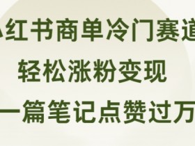 小红书掘金训练靠谱吗，从流量到变现的全新赚钱方法
