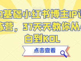 短剧搬运项目靠谱吗，小红书蓝海风口的操作教程