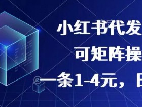 短剧搬运项目靠谱吗，小红书蓝海风口的操作教程