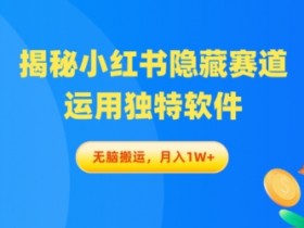 短剧推广蓝海玩法，小红书2025年最火项目的操作拆解