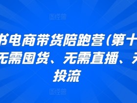 小红书短剧如何快速爆流，搬运玩法打造百万播放量