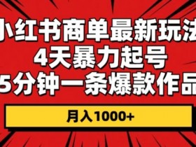 小红书短剧推广蓝海项目，一键搬运操作轻松日入2000+