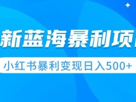 短剧搬运项目靠谱吗，小红书蓝海风口的操作教程