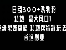 如何提升小红书运营效率，从内容优化到推流全流程分享