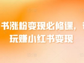 小红书代运营有哪些优势，专业服务助力快速涨粉