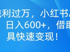 如何通过小红书笔记提升销量，精准用户定位与转化策略