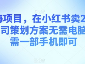 如何利用小红书推广产品，精准引流与销量提升的核心方法