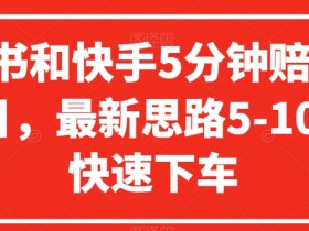 小红书高效引流策略，提升粉丝量与带货销售的实用方法
