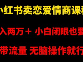 如何在小红书使用笔记带货，从入门到高效执行的全套方案