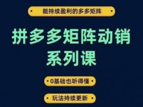 拼多多无人直播软件定制多少钱，费用分析与功能推荐