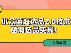 拼多多无人直播软件定制多少钱，费用分析与功能推荐