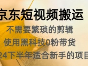 短视频如何进行精准投放，广告推广与ROI提升的方法