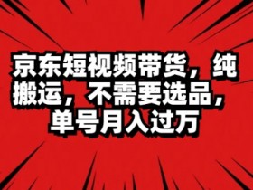 短视频如何进行精准投放，广告推广与ROI提升的方法