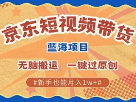 短视频如何进行精准投放，广告推广与ROI提升的方法
