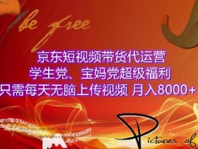 短视频如何进行精准投放，广告推广与ROI提升的方法
