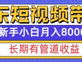 短视频如何进行精准投放，广告推广与ROI提升的方法