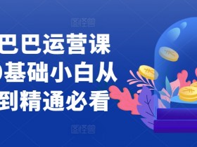 阿里国际站运营方案策划，4大模板助力企业快速起步