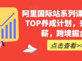 阿里国际站运营方案策划，4大模板助力企业快速起步